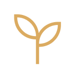 material-symbols-light_psychiatry-outline