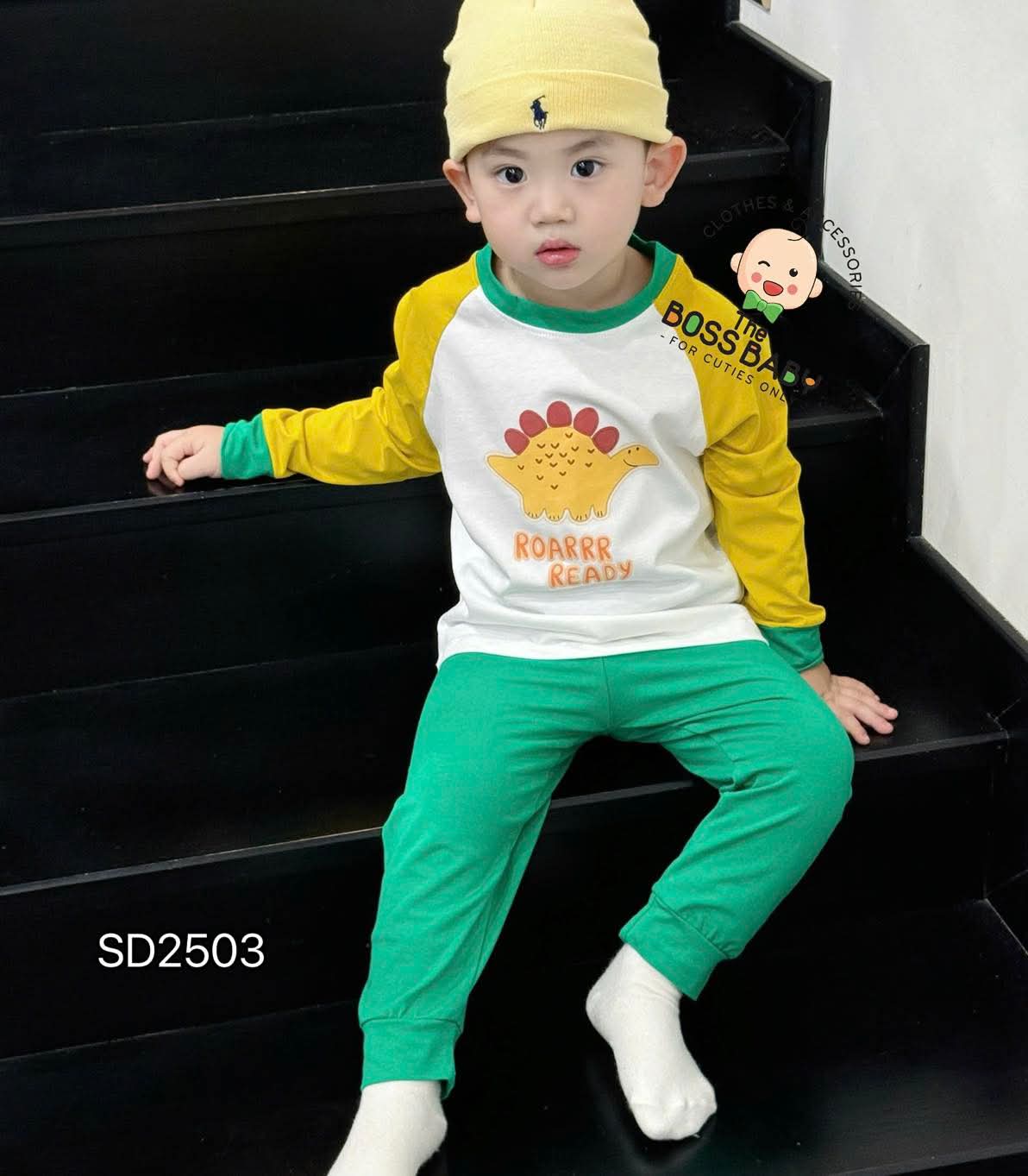 Set 2 bộ cotton phối màu khủng long