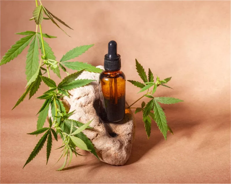 Toggle-image-filler-2