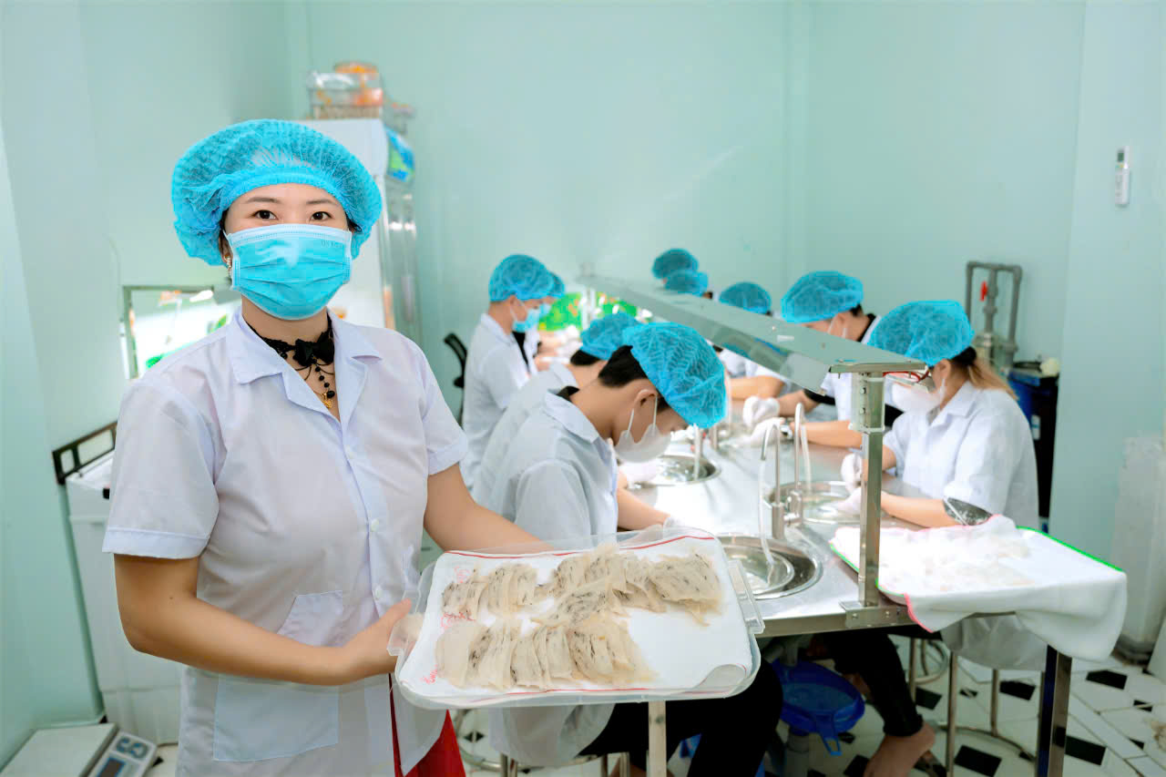 BÍ MẬT VỀ YẾN SÀO KHÁNH HÒA, CƠ HỘI KINH DOANH CÙNG YẾN VIỆT THT