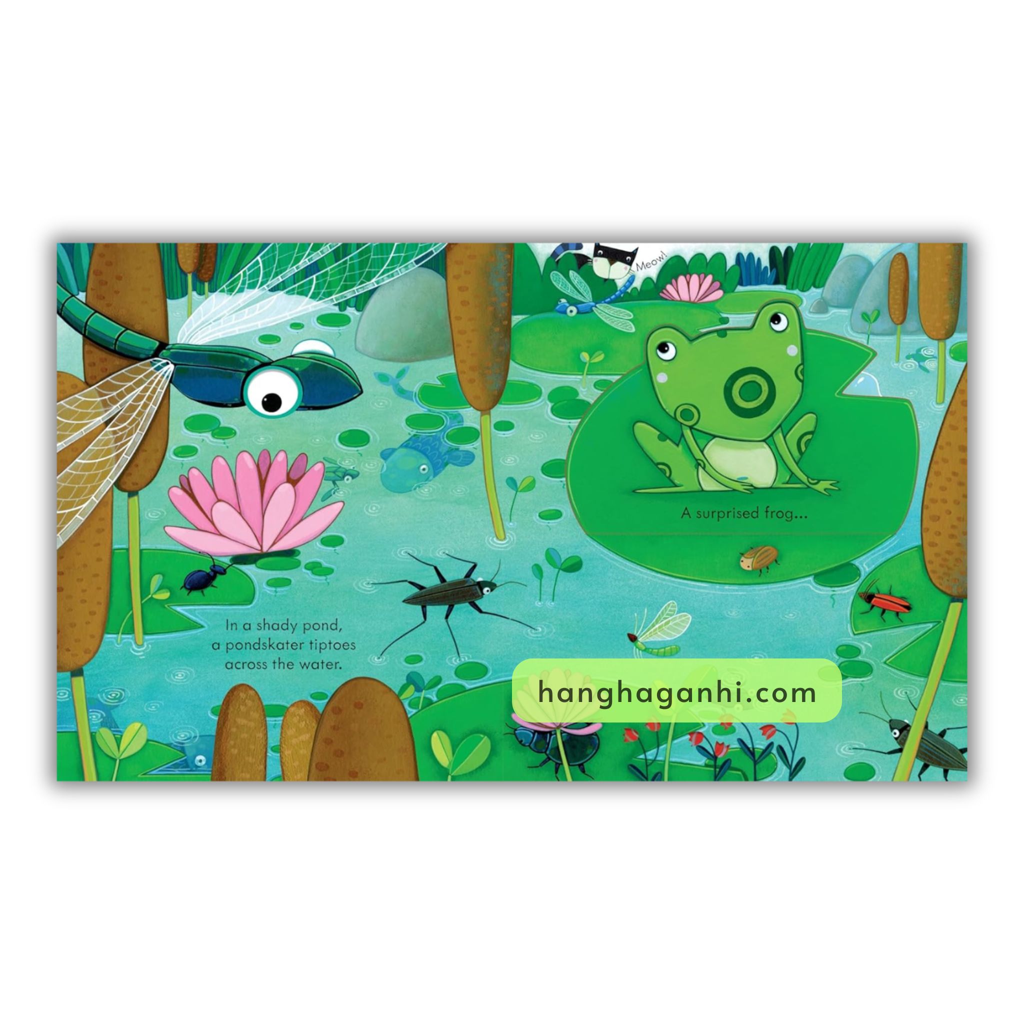 Usborne Peep Inside – Sách Nhập 6 cuốn ( kèm File nghe )_thumbnail_16