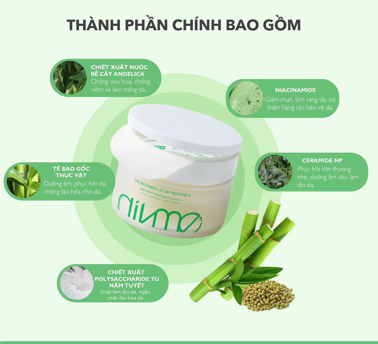 T21 TONER P@D_thumbnail_3