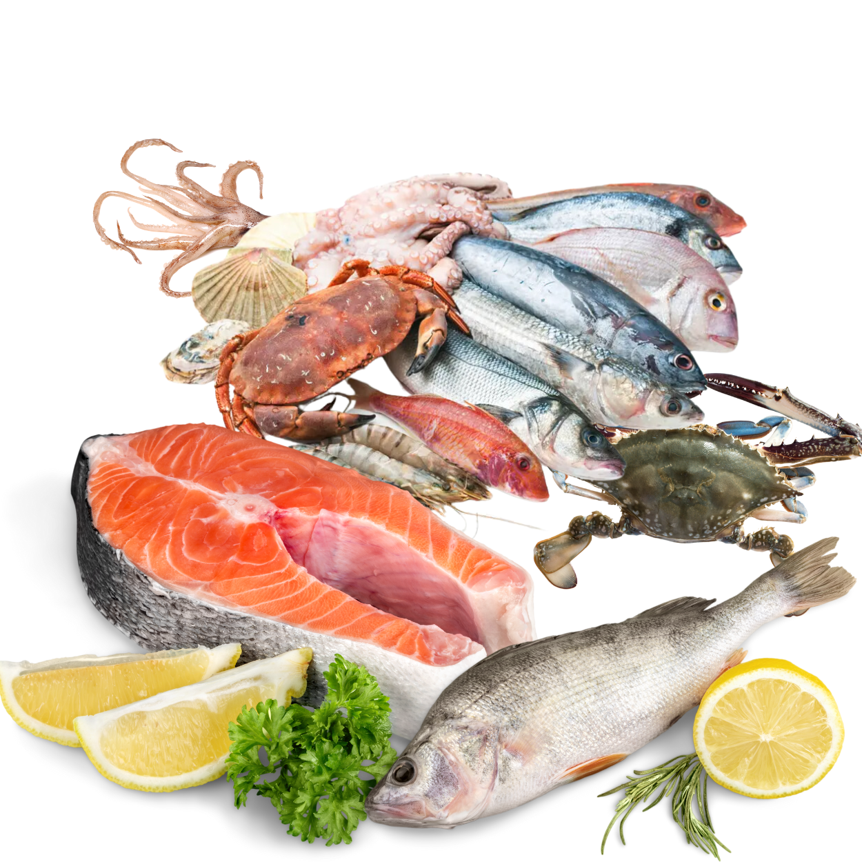 Cá và hải sản_1