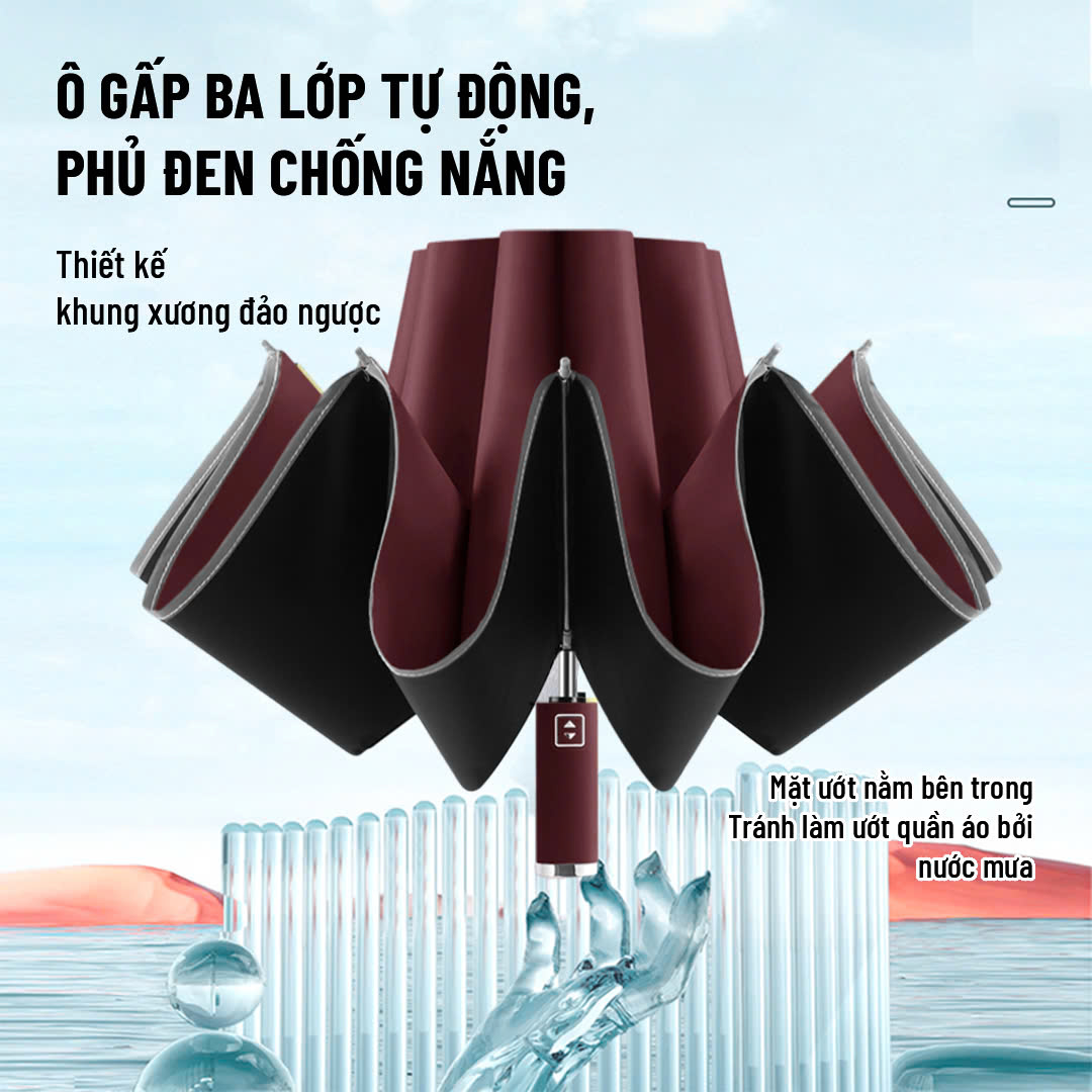 DÙ MINI_thumbnail_4