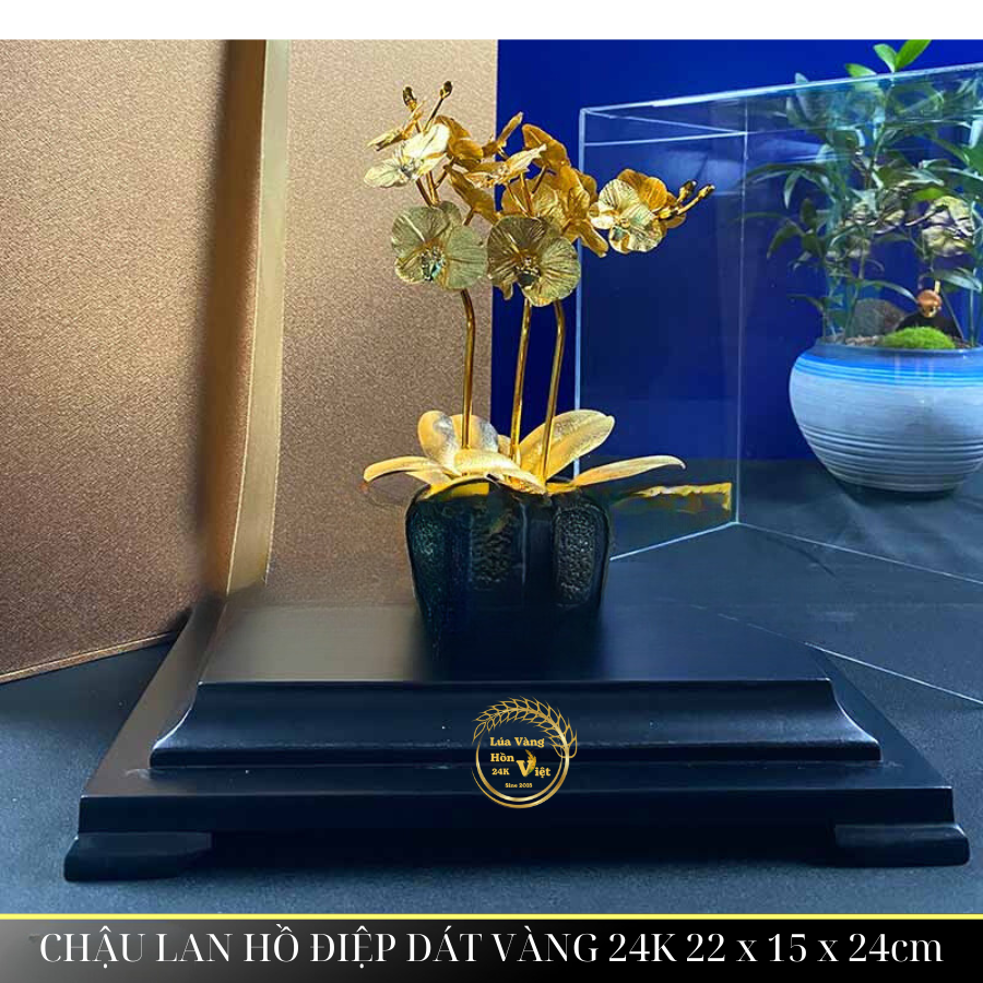 CHẬU LAN HỒ ĐIỆP DÁT VÀNG 24K 22x15x24cm_thumbnail_1