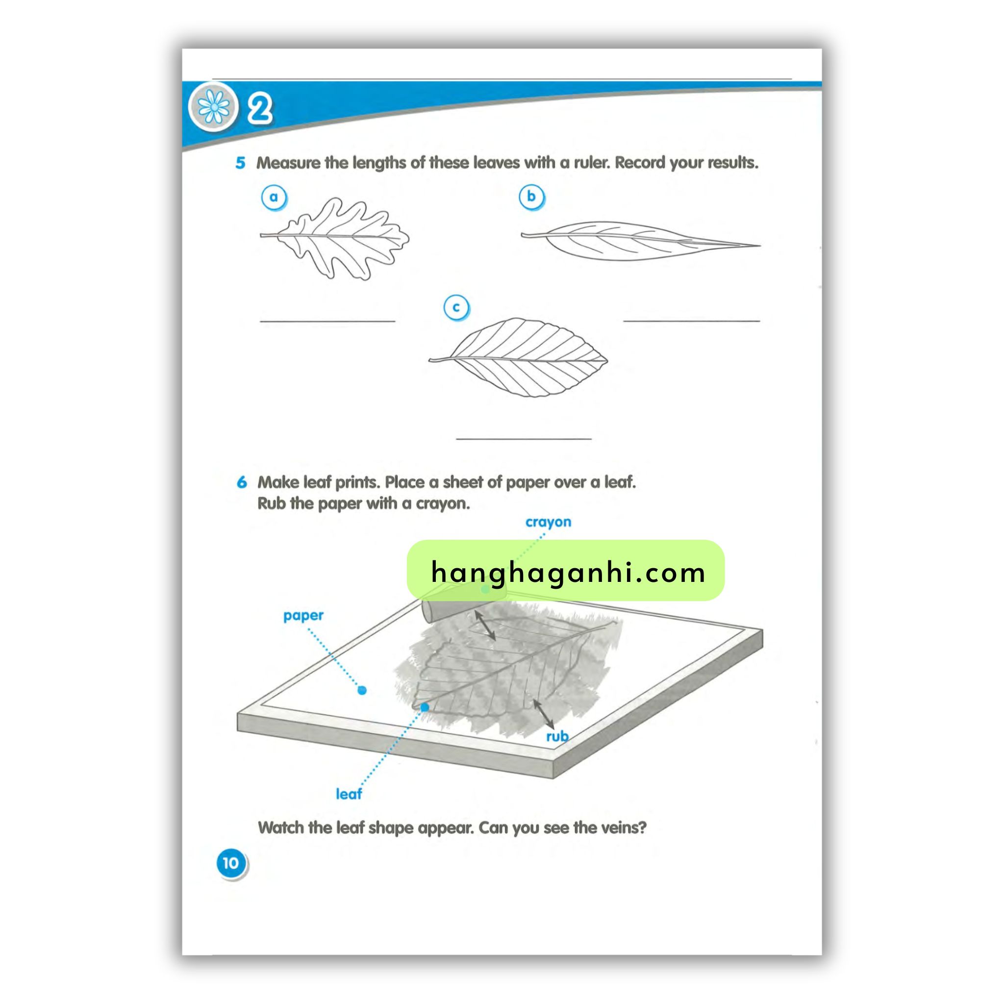 Macmillan Science 3 Workbook_thumbnail_7