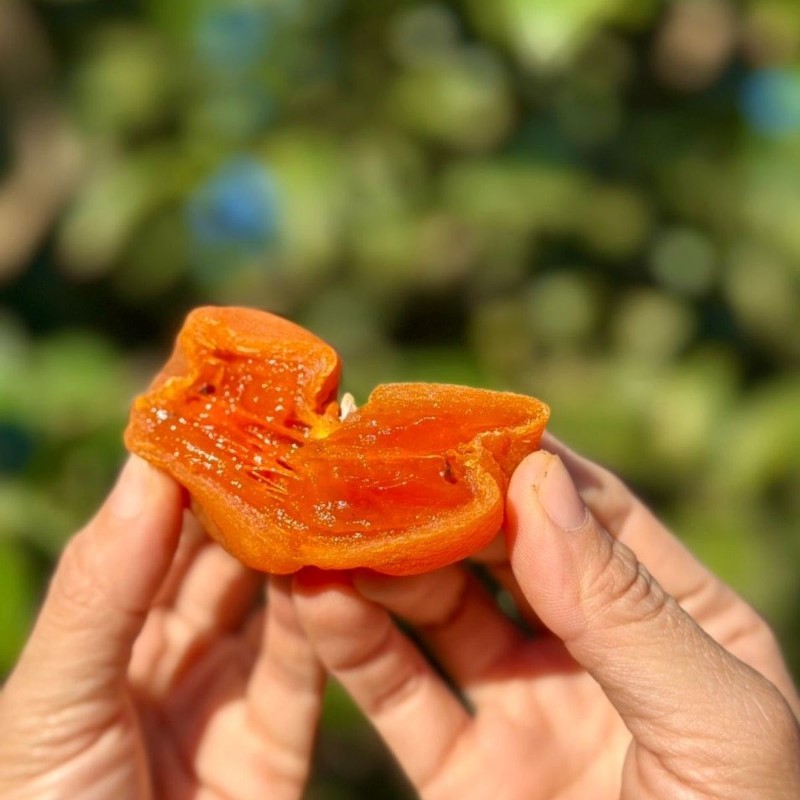 Hồng Kem Treo Gió_thumbnail_5