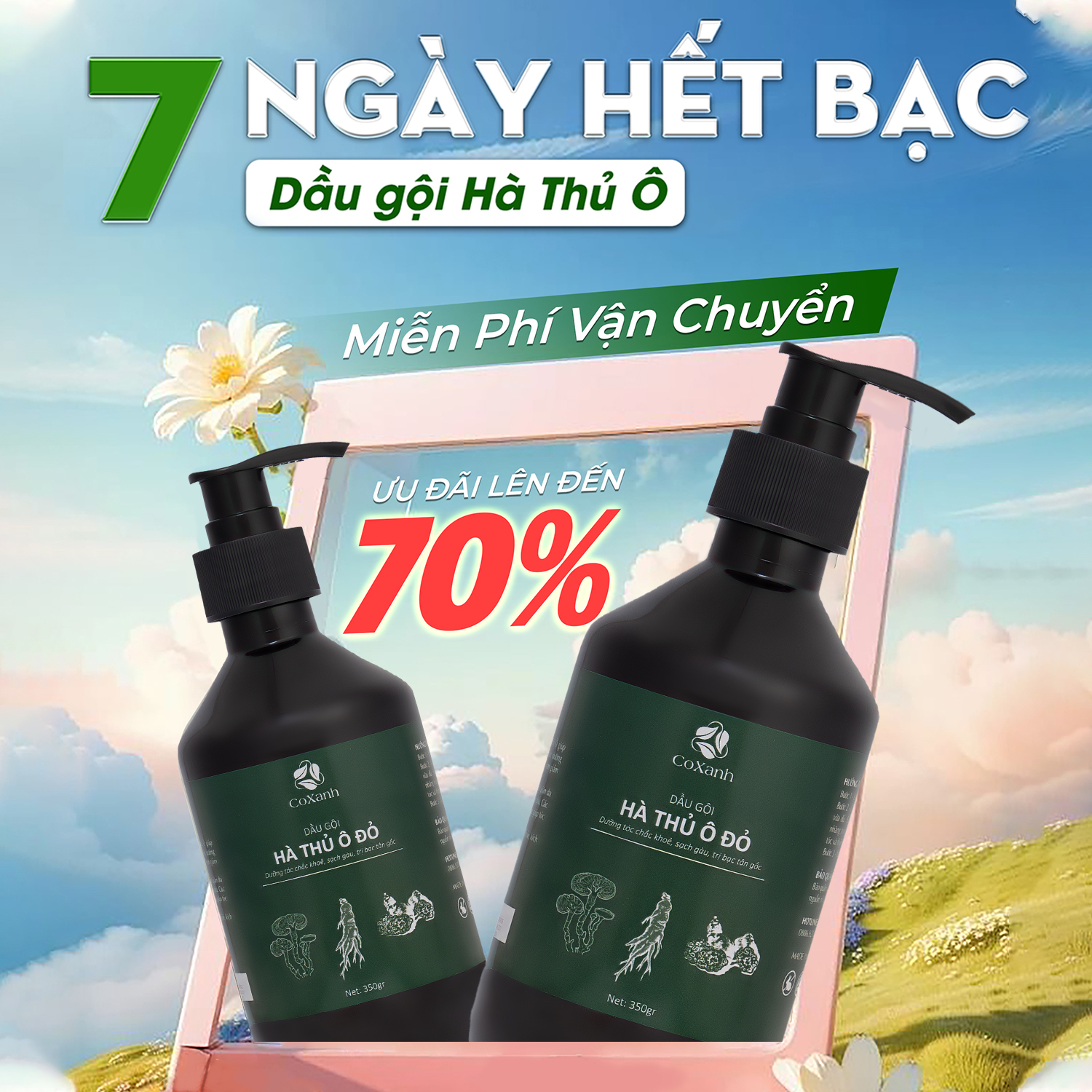 Dầu Gội Đen Tóc Hà Thủ Ô