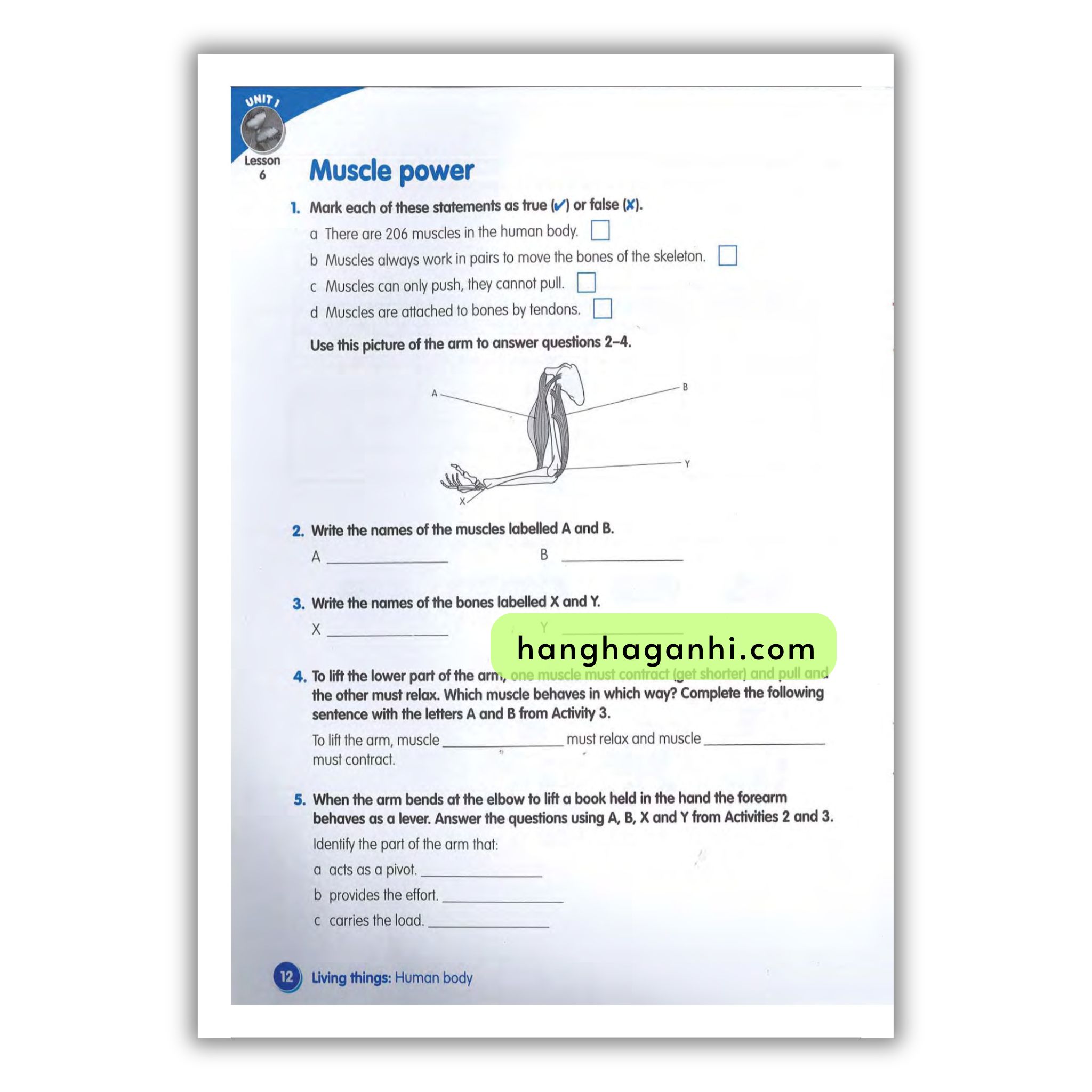 Macmillan Science 6 Workbook_thumbnail_14