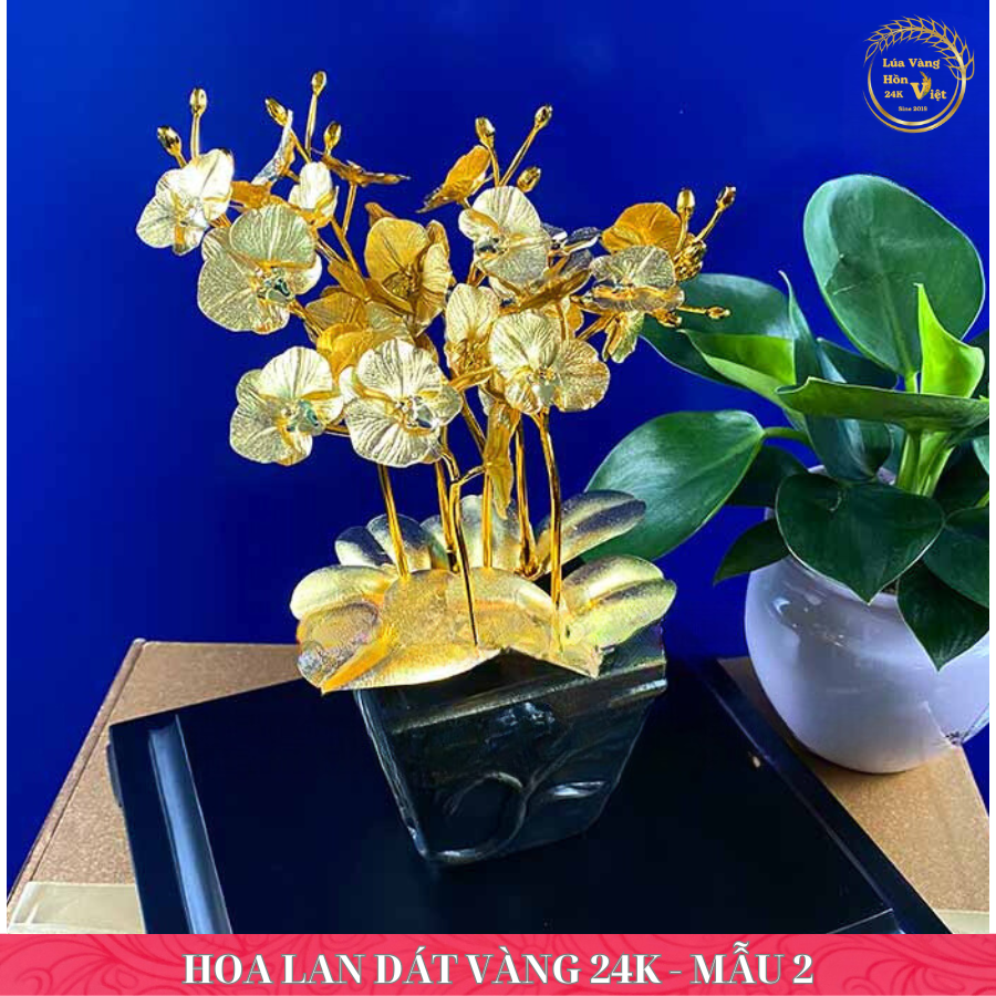 HOA LAN DÁT VÀNG 24K - MẪU 2_thumbnail_3