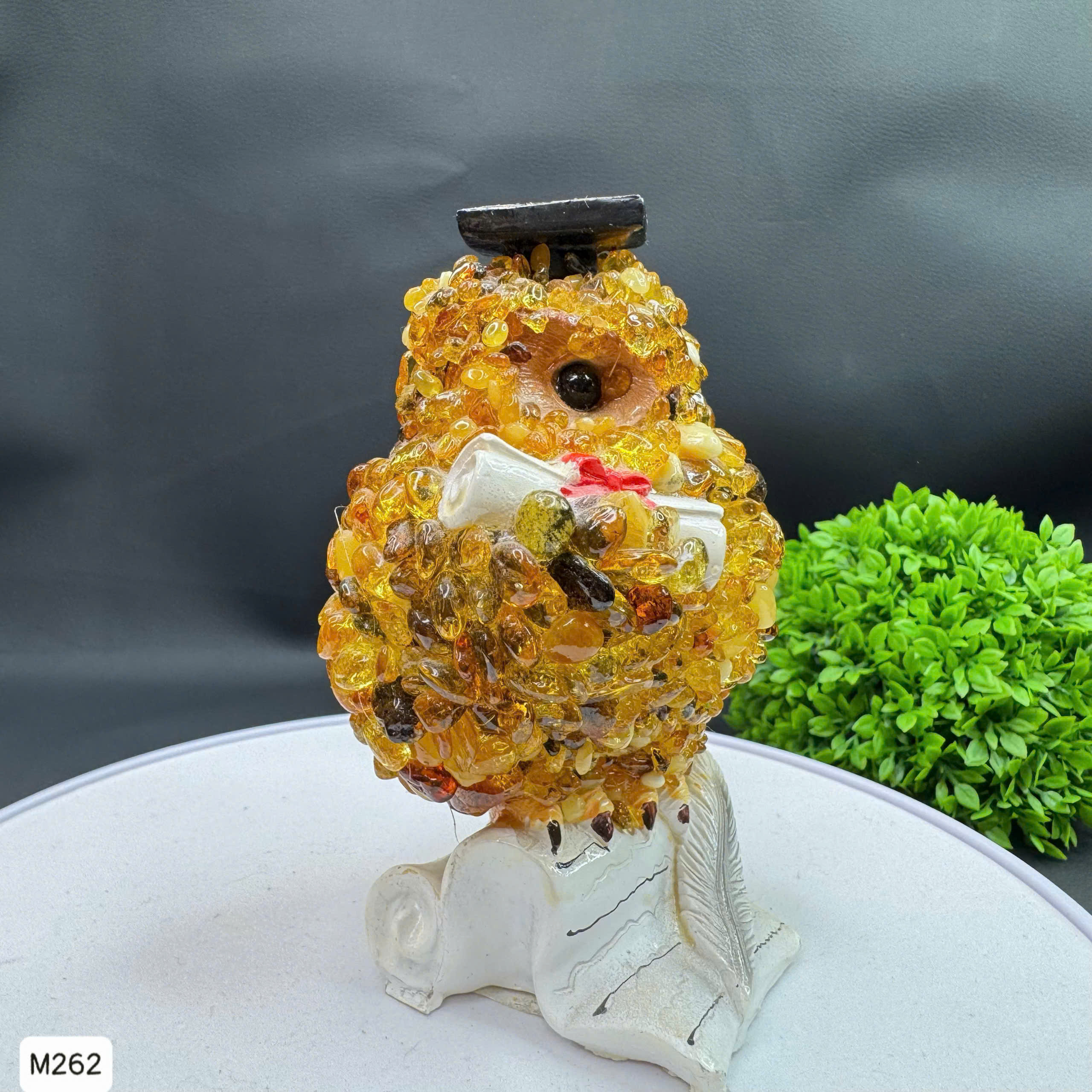 Cú Mèo Học Đường Hổ Phách Tự Nhiên - M262_thumbnail_1