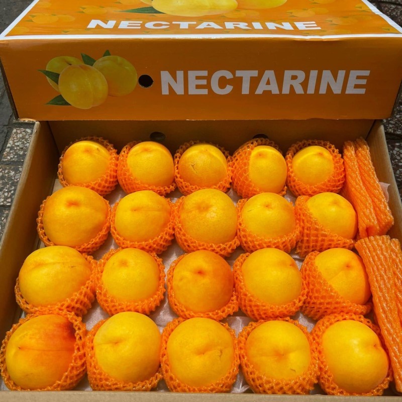 Đào Vàng (Nội Địa Trung)_thumbnail_2