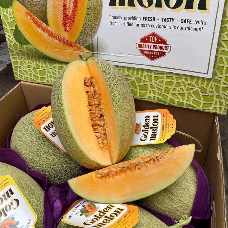 Dưa Lưới Đài Loan (Golden Melon)_thumbnail_3