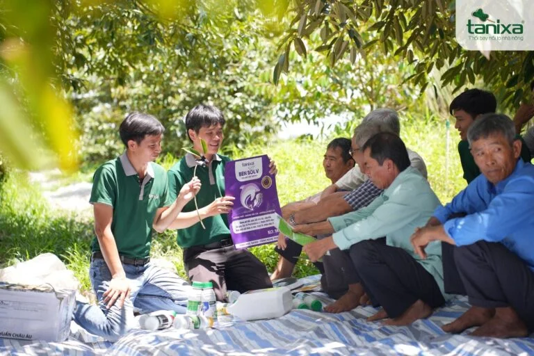 Hội thảo đầu bờ: Tham quan vườn Ri6 chạy trái đẹp, vượt thử thách đất phèn và sét