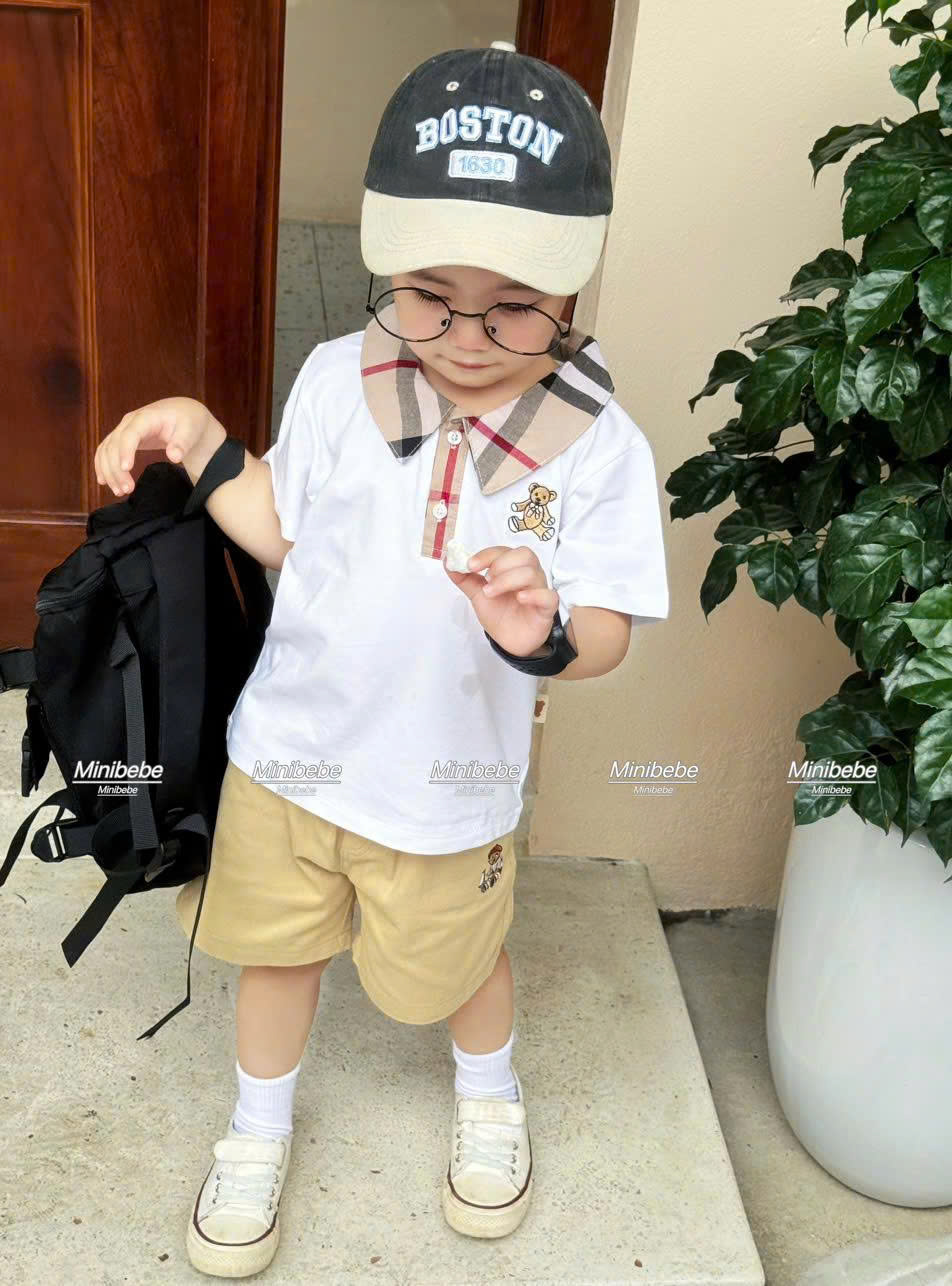 R75 BỘ POLO CỔ PHA GẤU CÓ NƠ- A117.1722