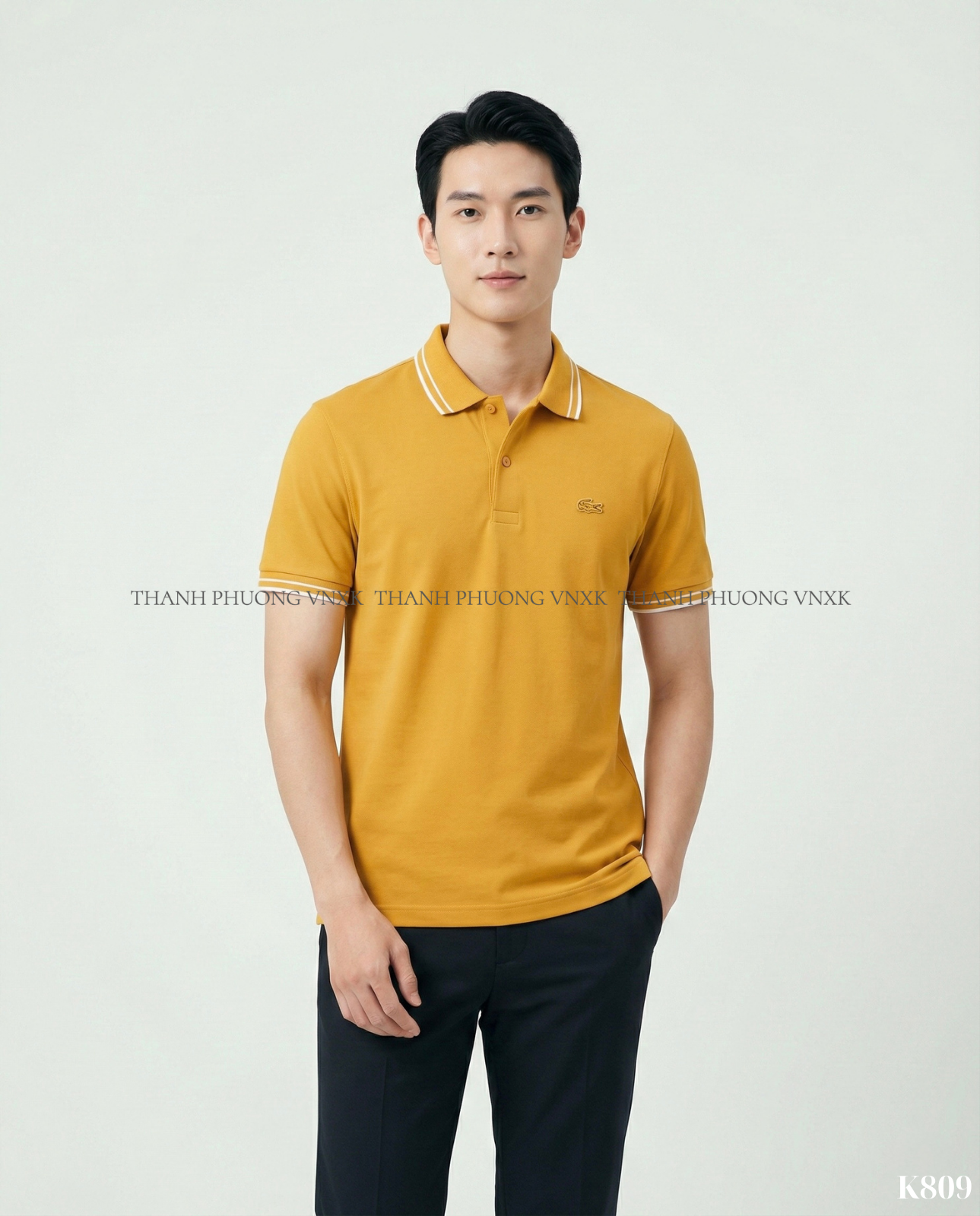 K809 AO NAM LC (L6-3)_thumbnail_3