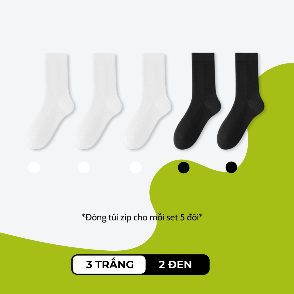 Combo 5 đôi tất nữ mỏng OAS-1706