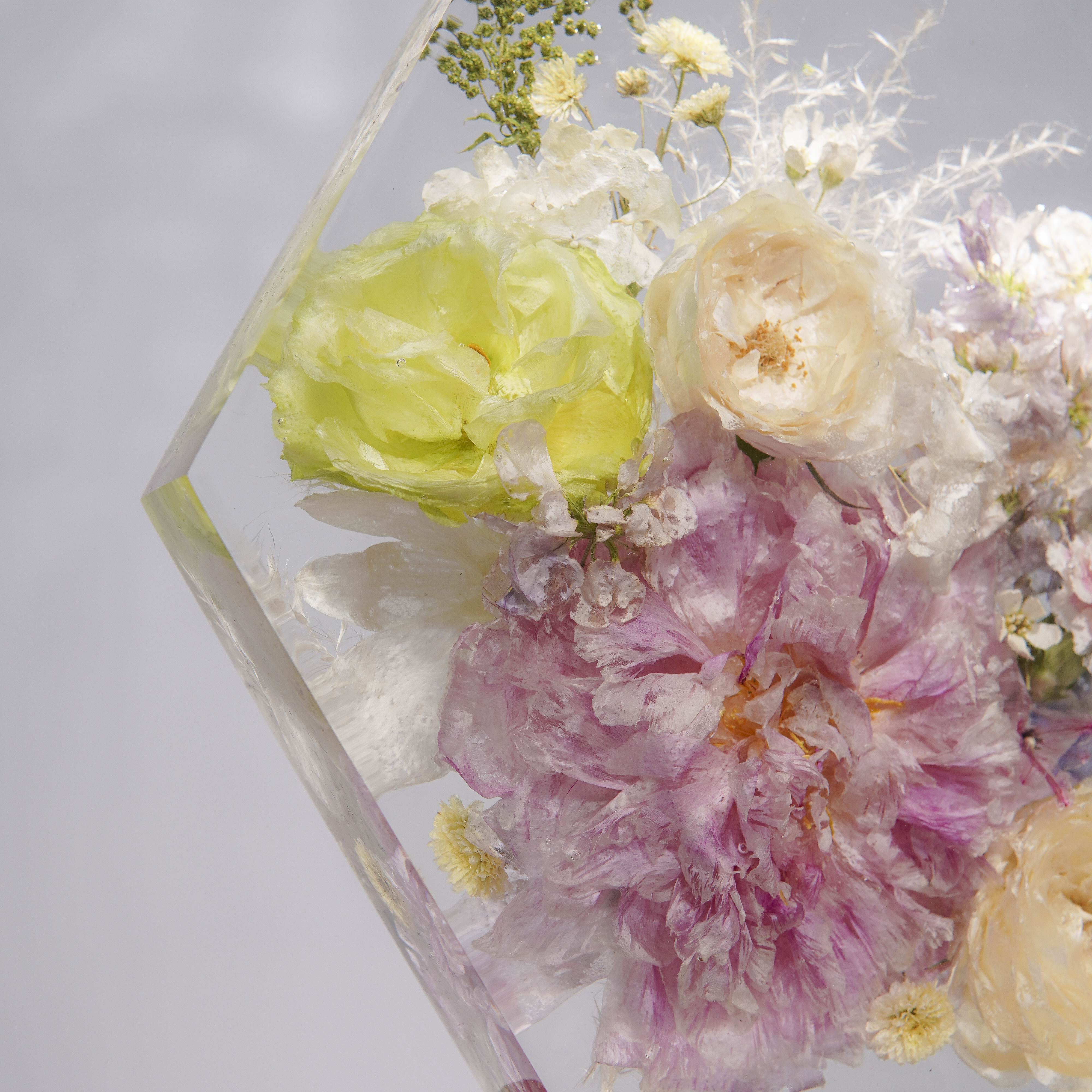 Đèn Hoa Độc Bản Bloomlight BLL4725-21