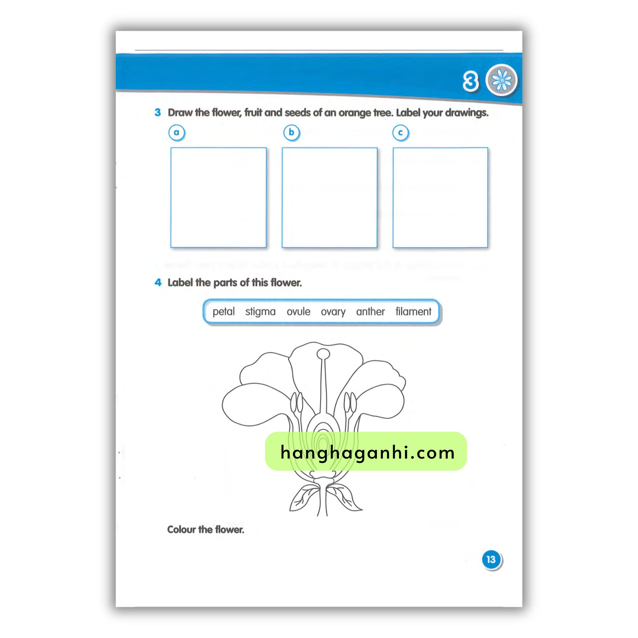 Macmillan Science 3 Workbook_thumbnail_18