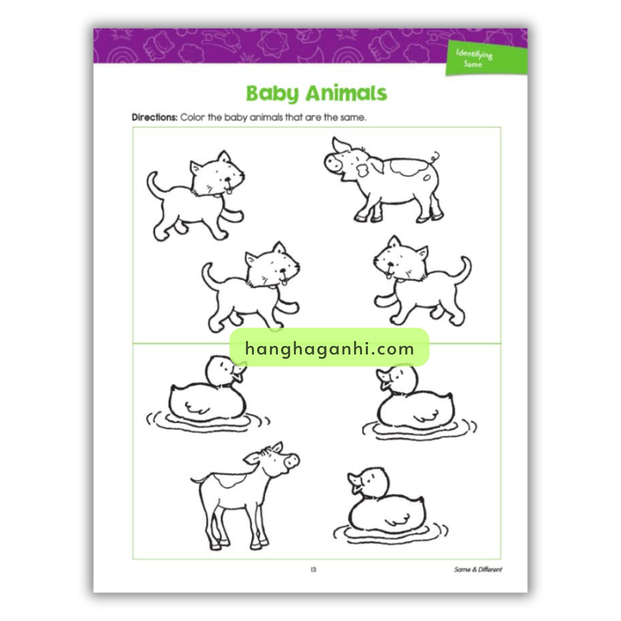 Spectrum 3+ Same & Different Basic Beginnings, sách Mỹ cho bé_thumbnail_5