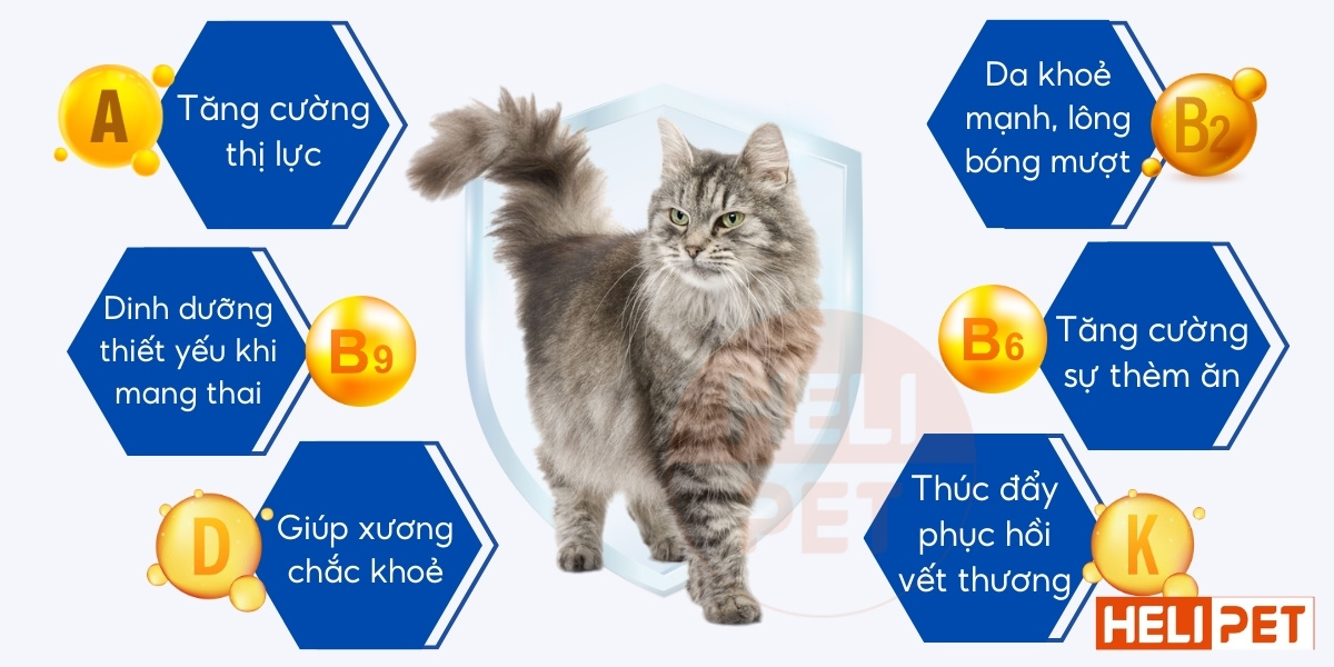 DR.VET multivitamin for cats contains IGY antibodies.