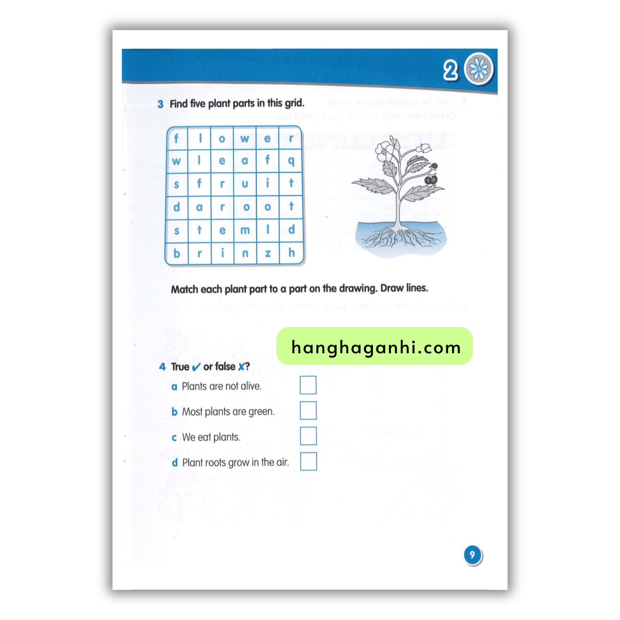 Macmillan Science 1 Workbook_thumbnail_16