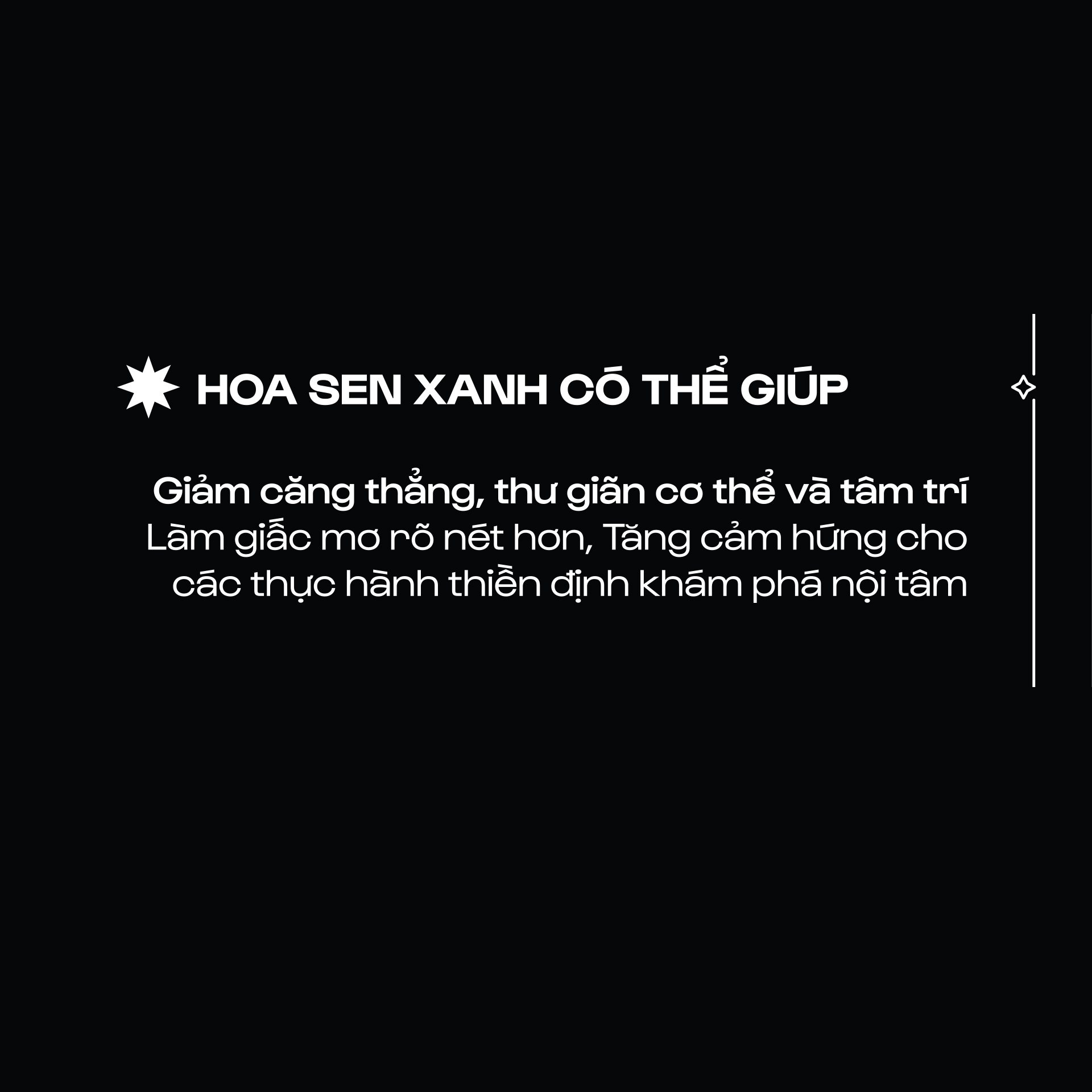 Blue Lotus - Sen Xanh Ai Cập - Cánh hoa lặt thủ công - Nguyên Liệu Thô | Hoa Khô_thumbnail_7