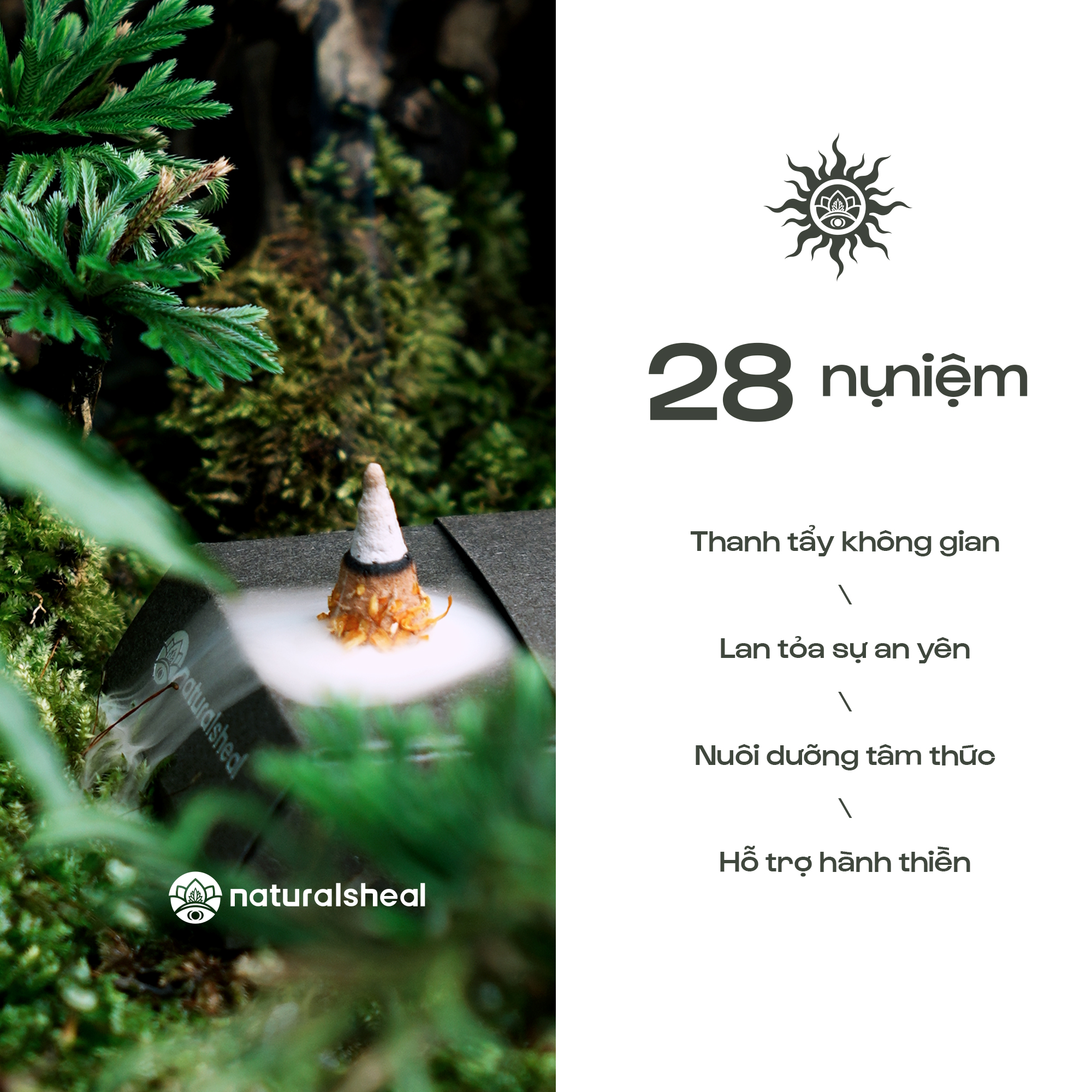 Nụ Niệm Thủ Công - Palo Santo, Trầm Hương, Xô Thơm | 28 Nụ Kèm Đế Đốt | Nhang Nụ Thanh Tẩy_thumbnail_8