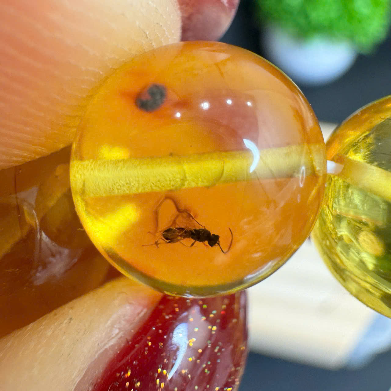 Chuỗi Lắc Tay Full Côn Trùng - M29_thumbnail_2