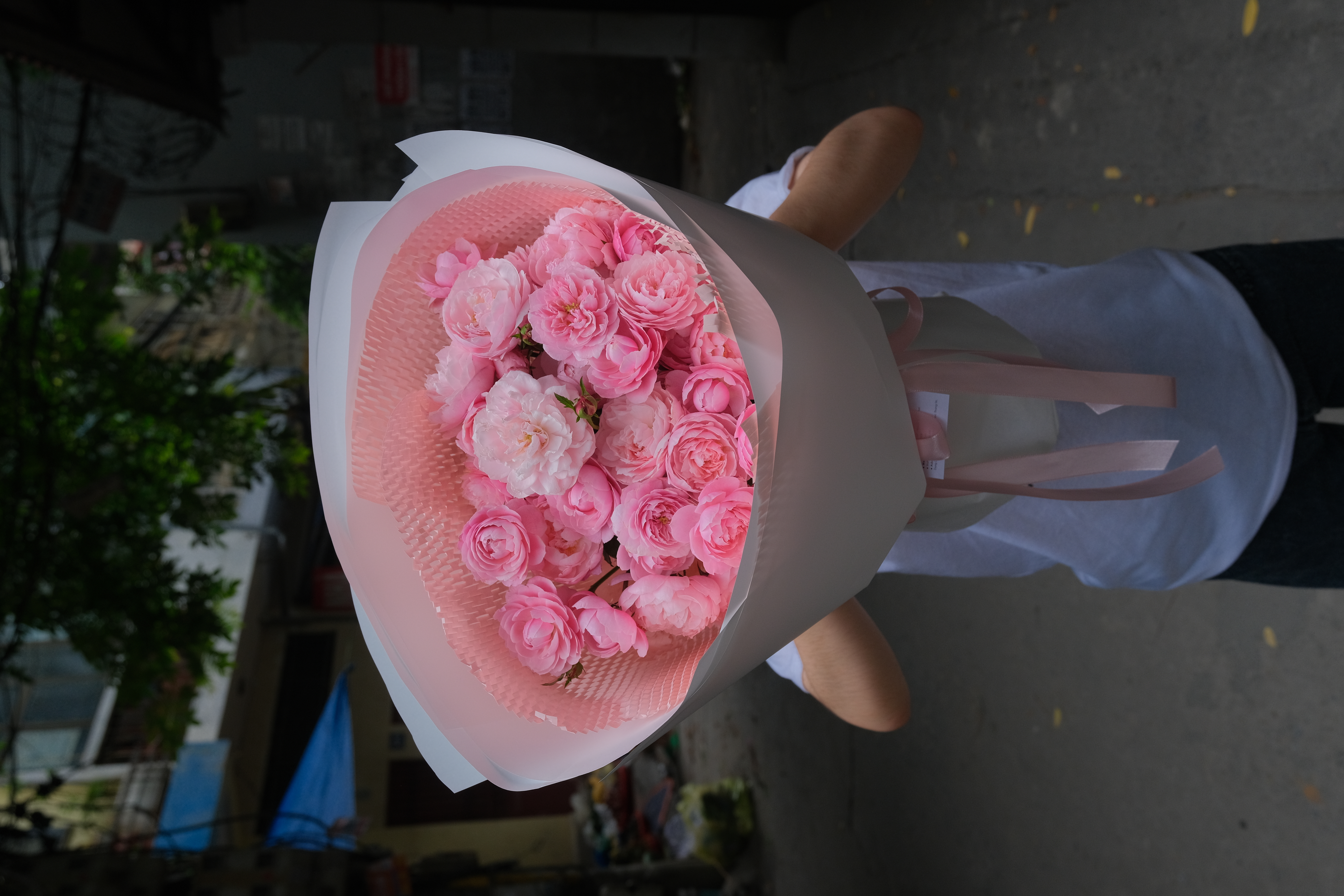 Bó hoa hồng Plume - Size M (Hoa cần đặt trước để dưỡng nở 2-3 ngày)