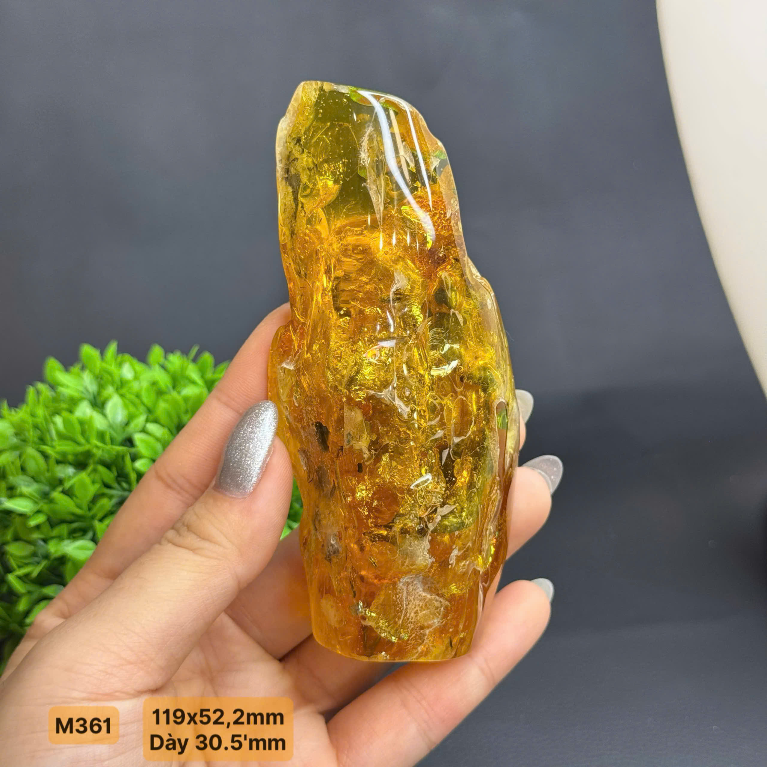 Viên Nguyên Khối Côn Trùng - M361