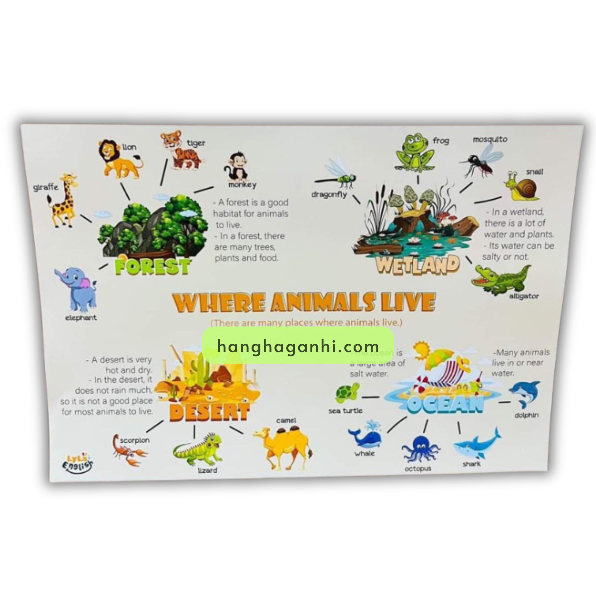 Bộ Mindmap Thuyết Trình 46 Chủ Đề Theo Sơ Đồ Tư Duy_thumbnail_7