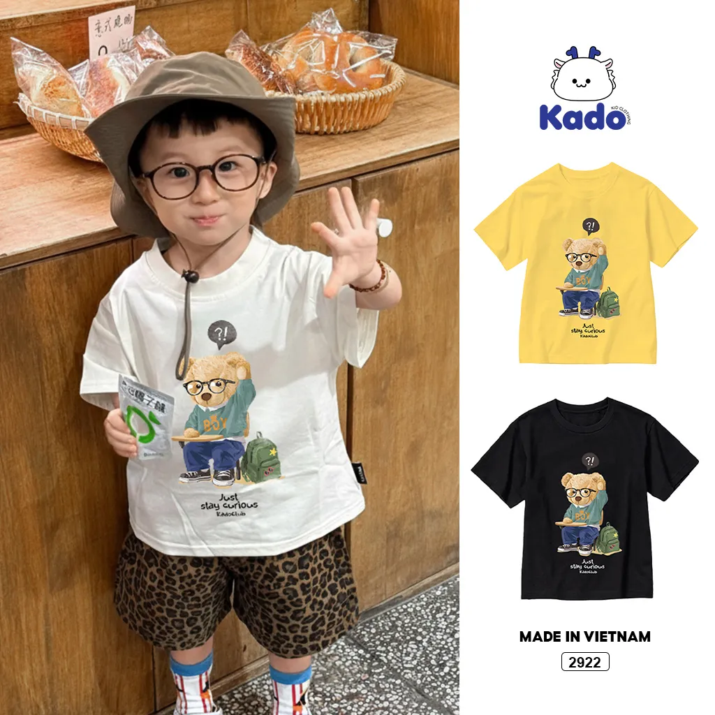 Áo thun bé trai Gấu Teddy học bài Kado vải cotton thoáng mát form rộng nhiều màu 2922