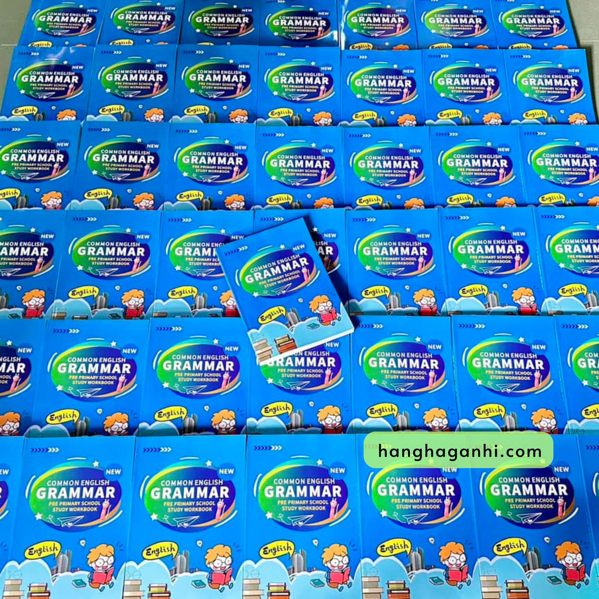 Common English Grammar Pre-Primary School Study Workbook - In màu