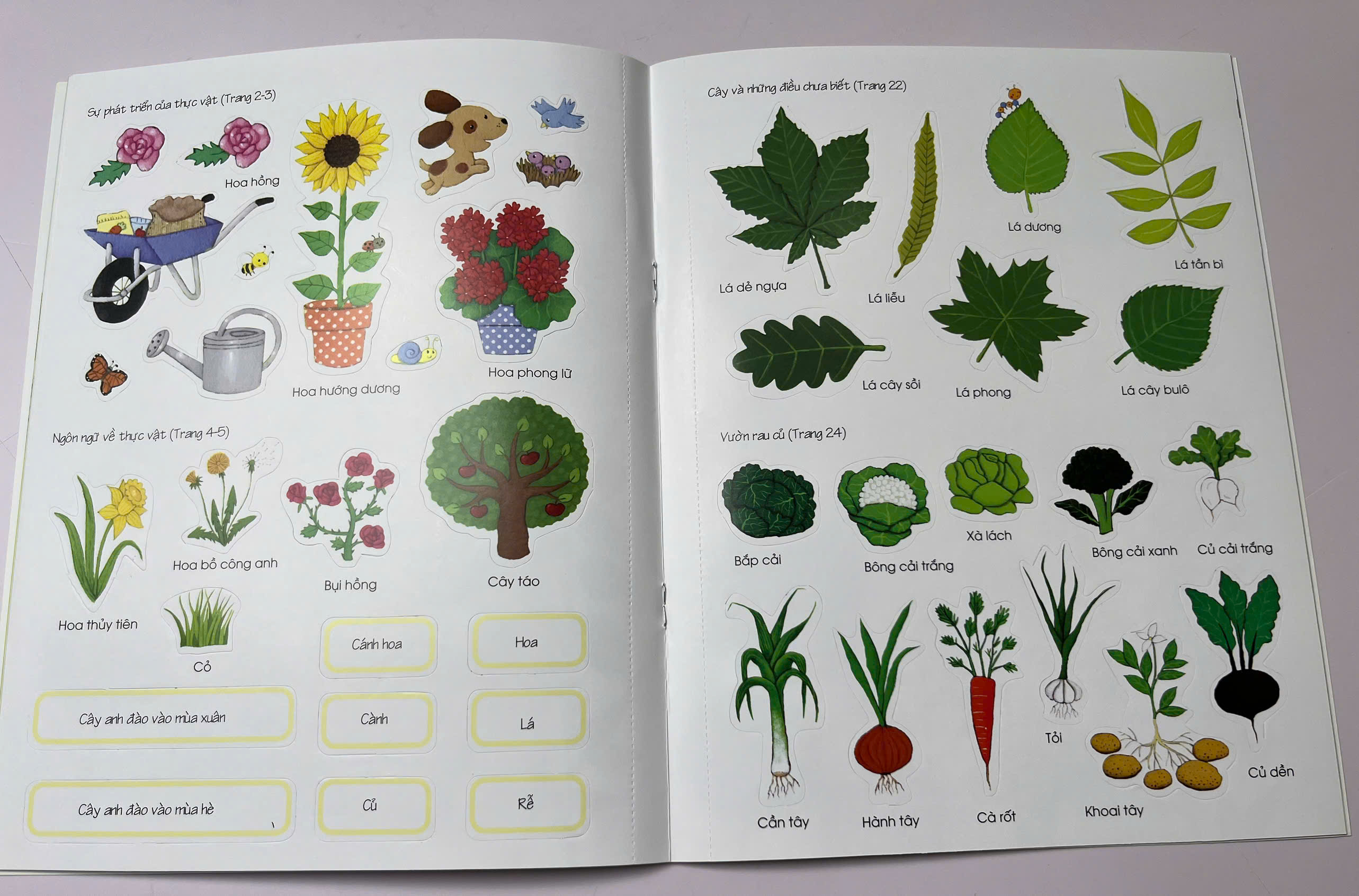 Combo 3 cuốn Thế Giới Trong Tay Em_thumbnail_4