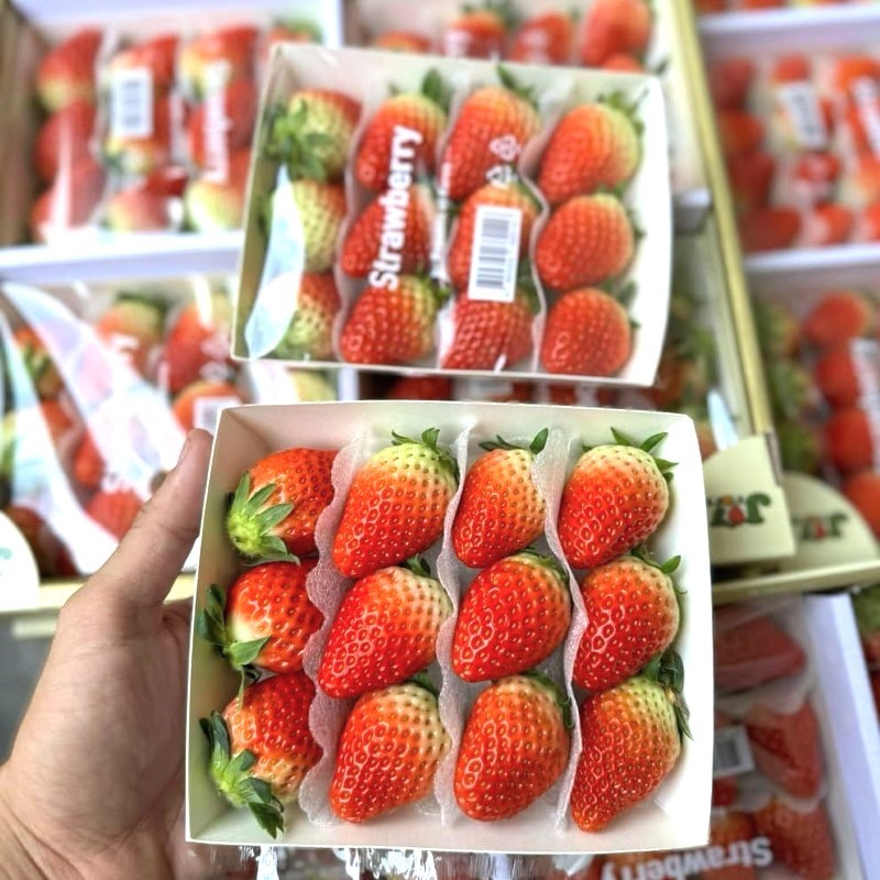 Dâu Hàn Quốc_thumbnail_1