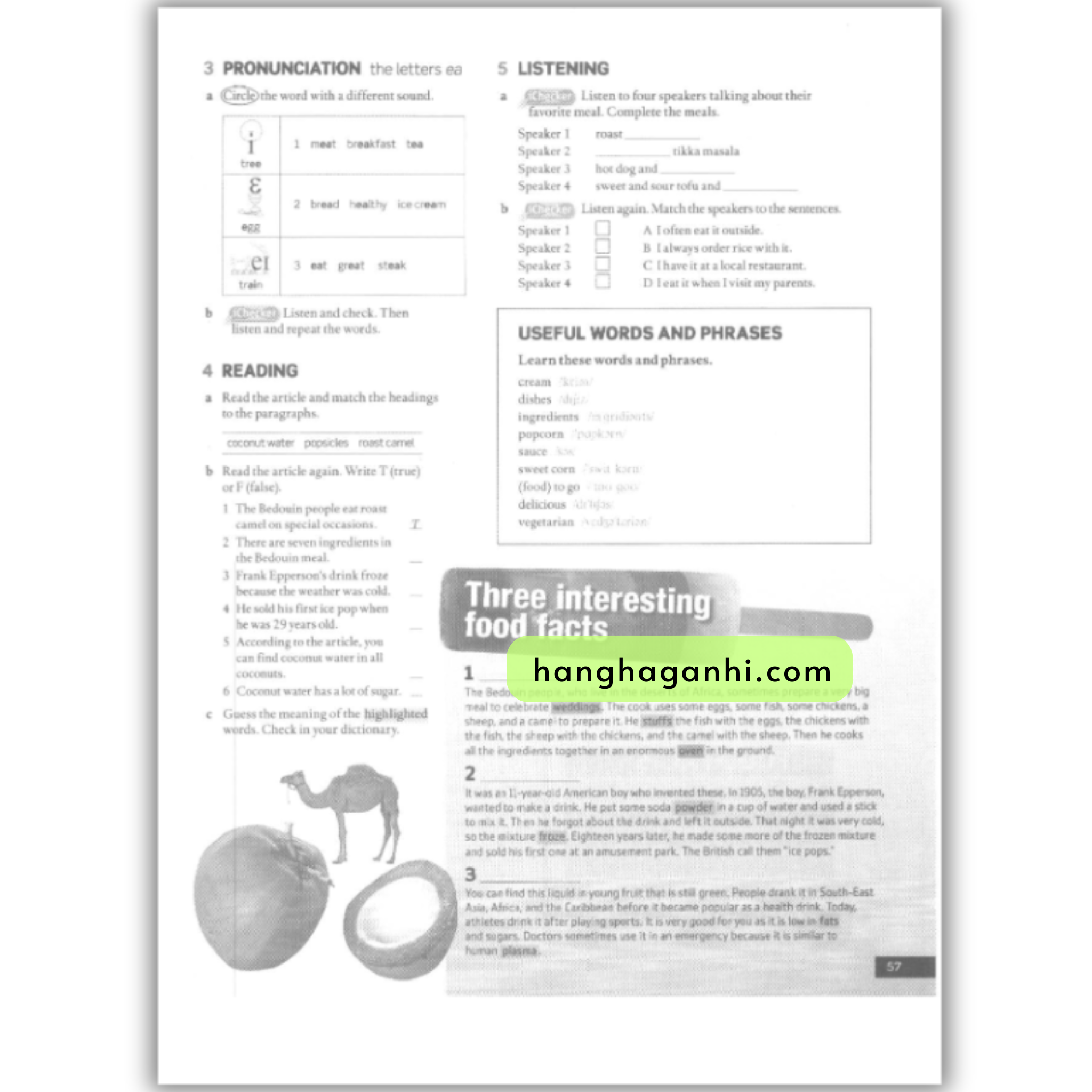American English File 1 Workbook (Second Edition) _thumbnail_11