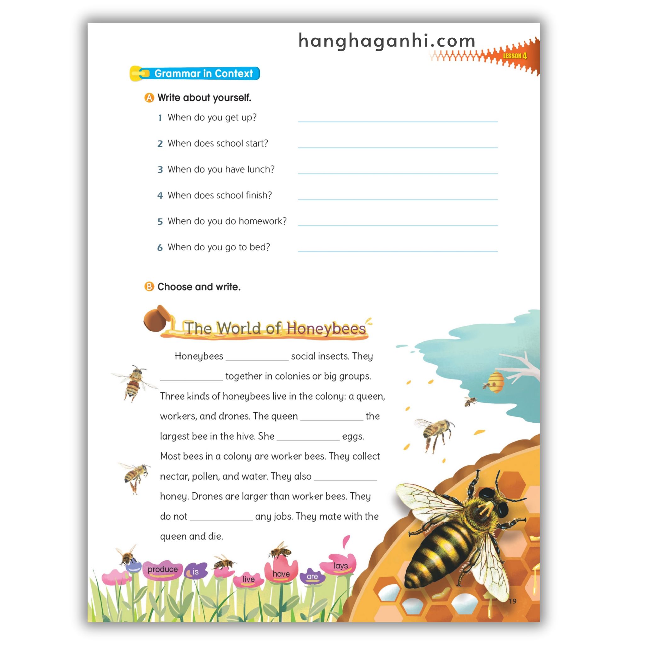 My Next Grammar 3 Student Book (2nd Edition)_thumbnail_19