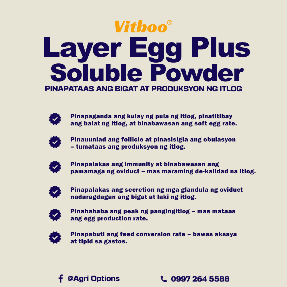 Layer Egg Plus Soluble Powder_thumbnail_1