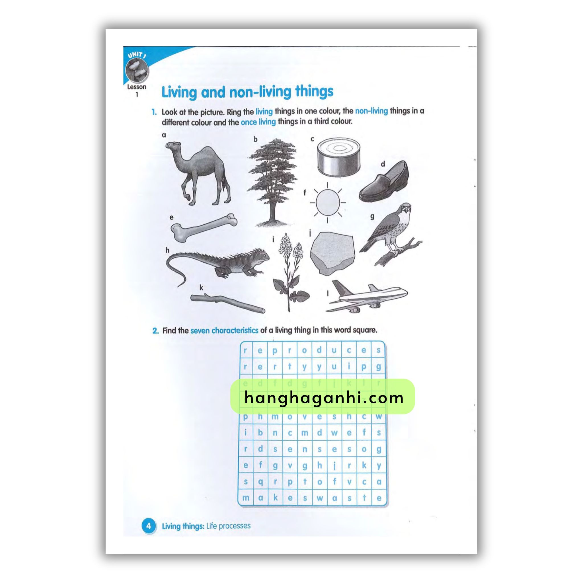 Macmillan Science 4 Workbook_thumbnail_18
