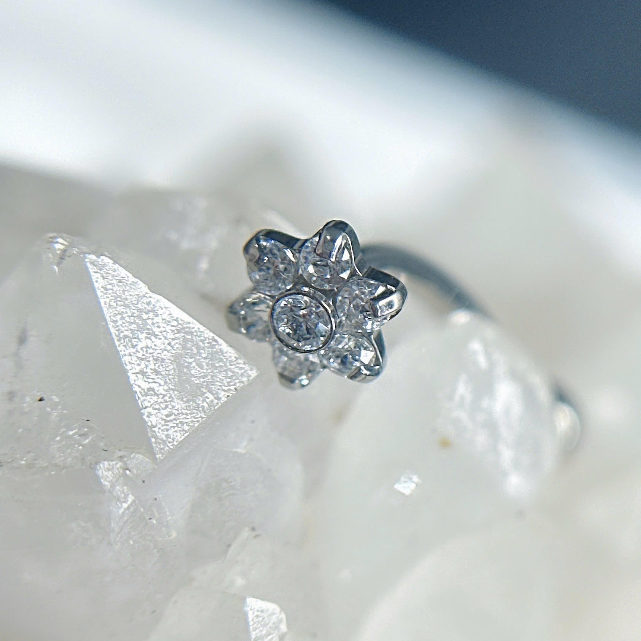 Banana titan hoa kim cương trắng nhỏ _thumbnail_1