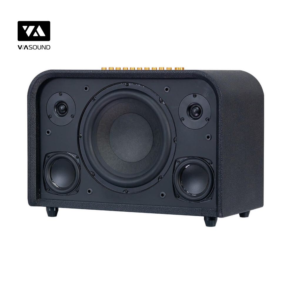 Loa Kéo ACNOS ACOUSTIC 3_thumbnail_4