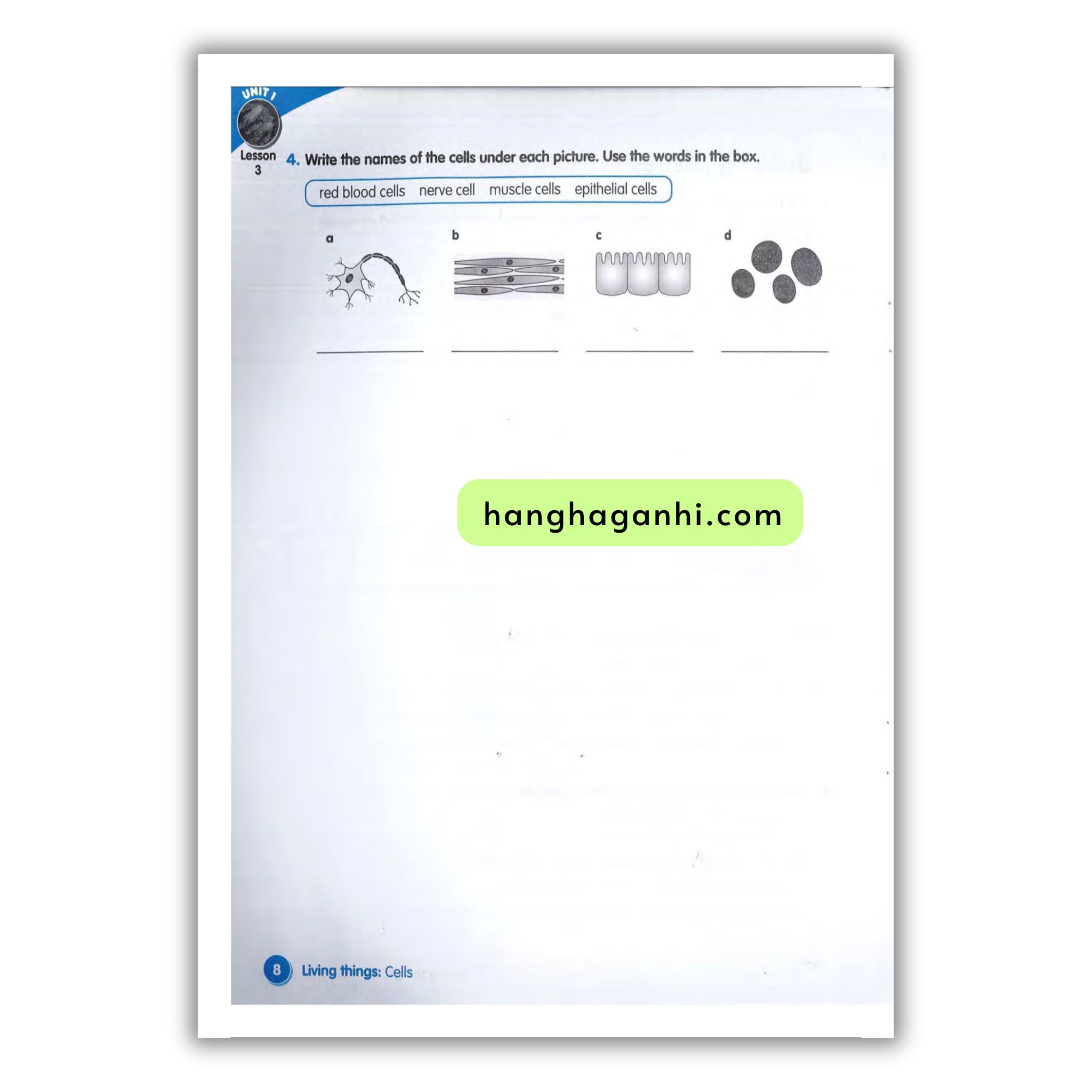 Macmillan Science 6 Workbook_thumbnail_8