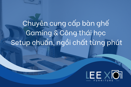 Ghế Công Thái Học Chuẩn - LEEXO   (1200 x 375 px) (8)