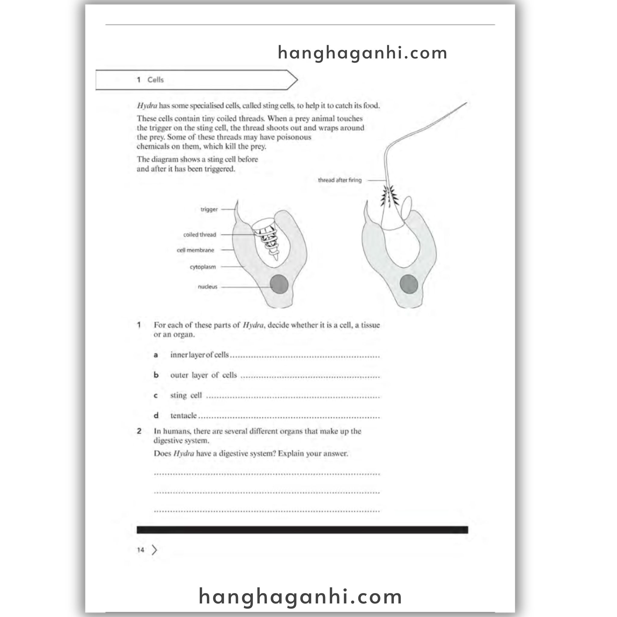 Cambridge Level 7 Lower Seconday Science Workbook 2nd Edition 2021_thumbnail_11