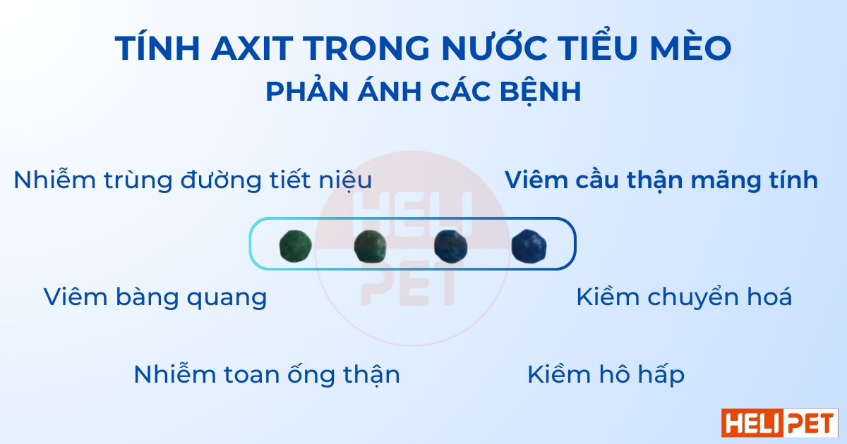 Dr. Vet pH test granules for cat urine