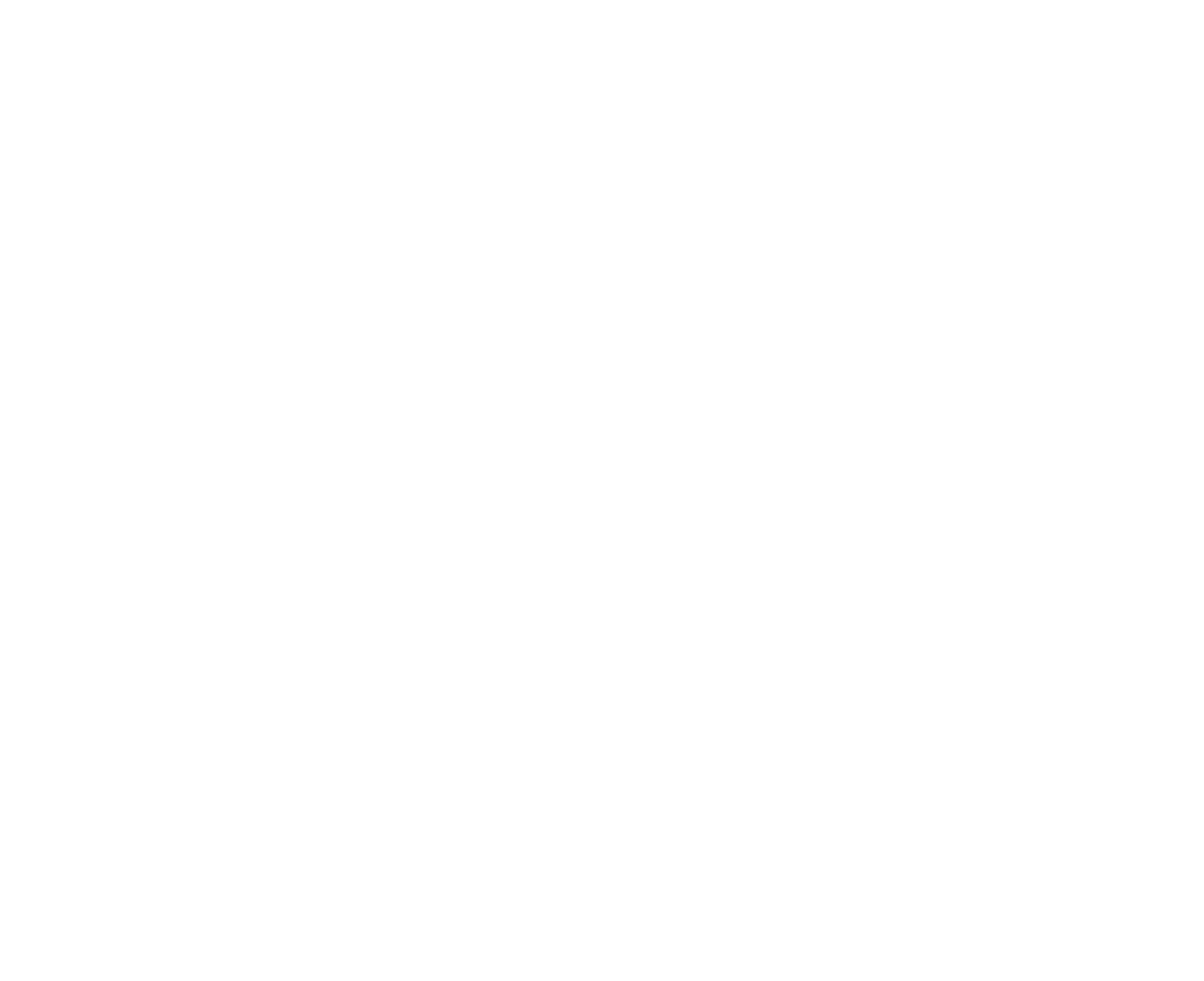Logo CAMEE - Final-08