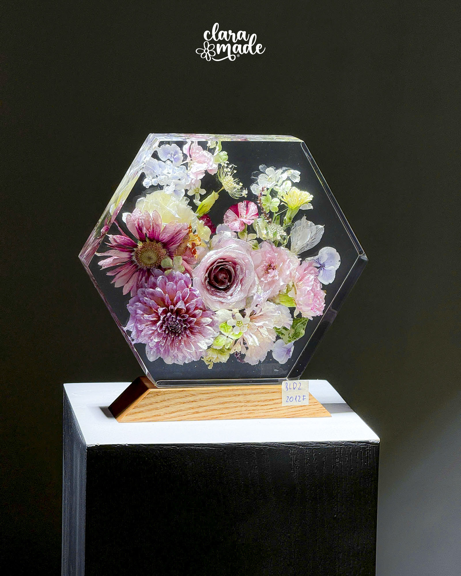 Đèn hoa khô Bloomlight BLD22012F