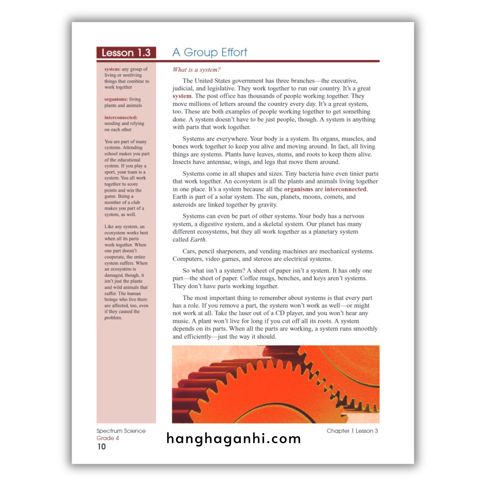Sách Spectrum Science Workbook Grade 4_thumbnail_10