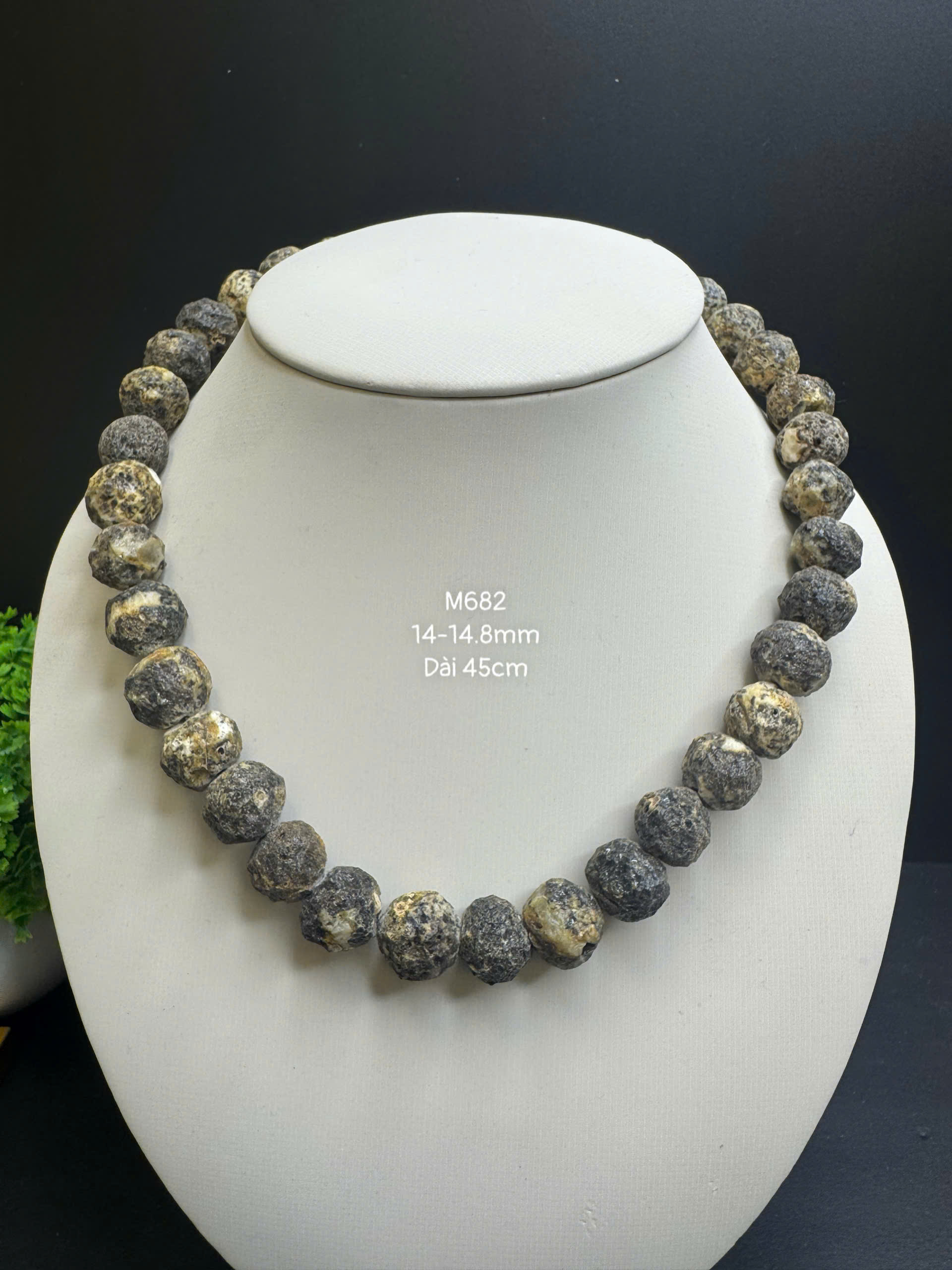 Vòng Cổ Thô Y Tế - M682